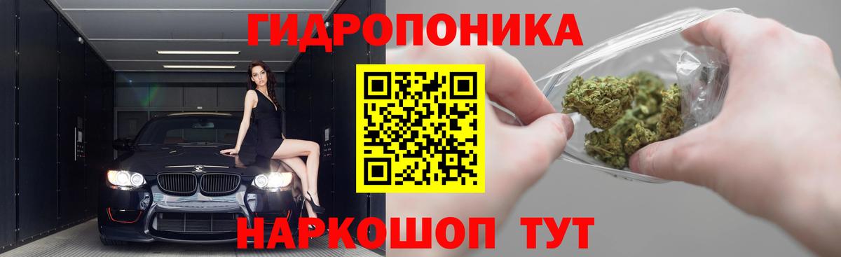 Бошки марихуана тримм  Каннабис OG Kush  Вход с VPN  Шишки марихуана Ganja  Геленджик  Каннабис сатива 